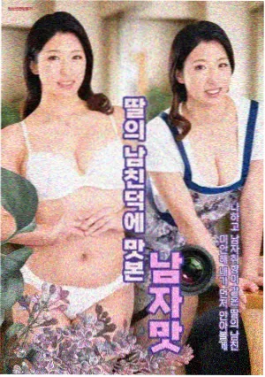 知否知否应是绿肥红瘦 海报